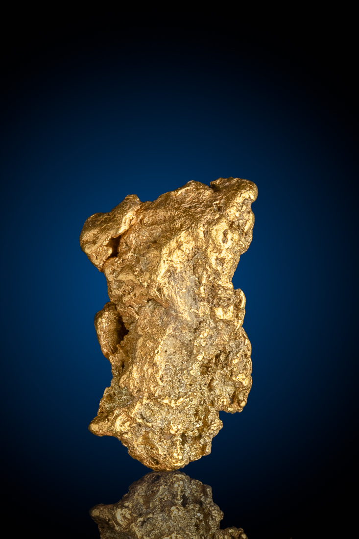 (image for) Rare Location - Denali Park, Alaska Gold Nugget - 4.14 grams